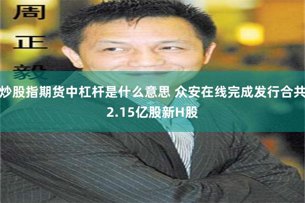 炒股指期货中杠杆是什么意思 众安在线完成发行合共2.15亿股新H股