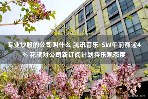 专业炒股的公司叫什么 腾讯音乐-SW午前涨逾4% 花旗对公司新订阅计划持乐观态度