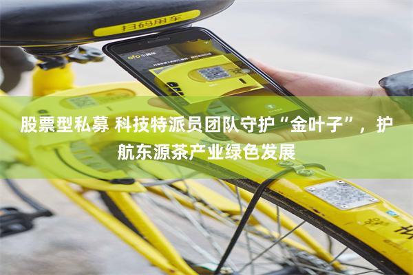 股票型私募 科技特派员团队守护“金叶子”，护航东源茶产业绿色发展