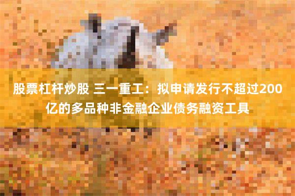 股票杠杆炒股 三一重工：拟申请发行不超过200亿的多品种非金融企业债务融资工具