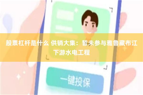 股票杠杆是什么 供销大集：暂未参与雅鲁藏布江下游水电工程