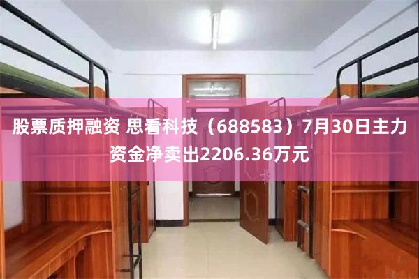 股票质押融资 思看科技（688583）7月30日主力资金净卖出2206.36万元
