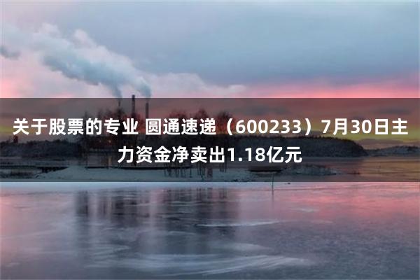 关于股票的专业 圆通速递（600233）7月30日主力资金净卖出1.18亿元