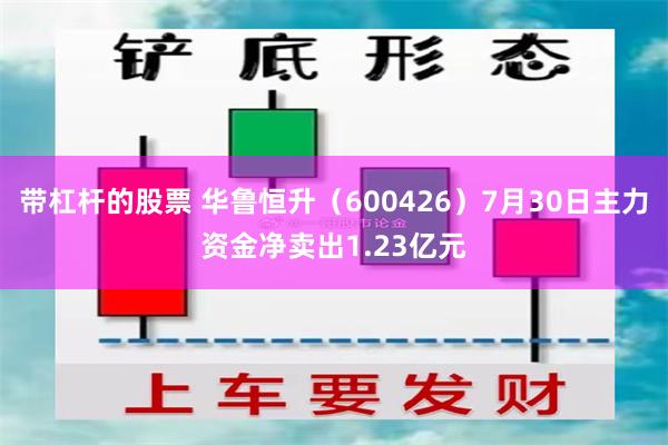 带杠杆的股票 华鲁恒升（600426）7月30日主力资金净卖出1.23亿元