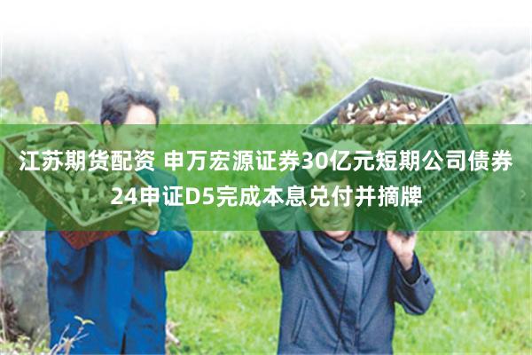 江苏期货配资 申万宏源证券30亿元短期公司债券24申证D5完成本息兑付并摘牌