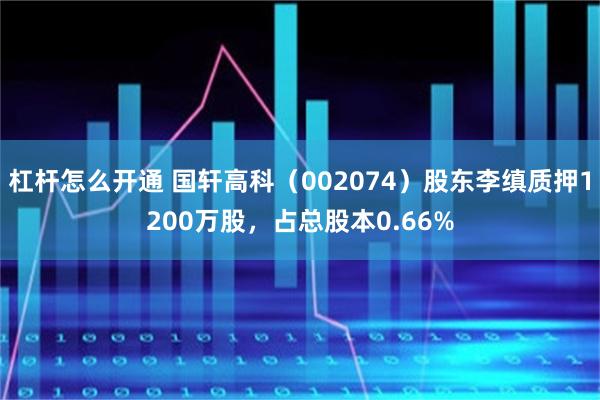 杠杆怎么开通 国轩高科（002074）股东李缜质押1200万股，占总股本0.66%