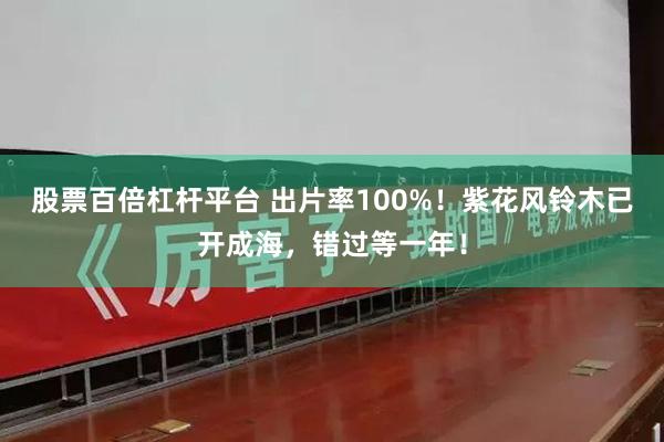 股票百倍杠杆平台 出片率100%！紫花风铃木已开成海，错过等一年！