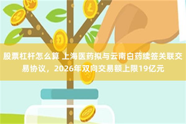 股票杠杆怎么算 上海医药拟与云南白药续签关联交易协议，2026年双向交易额上限19亿元