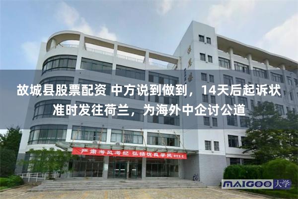 故城县股票配资 中方说到做到,14天后起诉状准时发往荷兰,为海外中企讨公道
