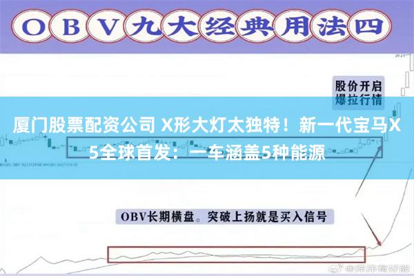 厦门股票配资公司 X形大灯太独特!新一代宝马X5全球首发:一车涵盖5种能源
