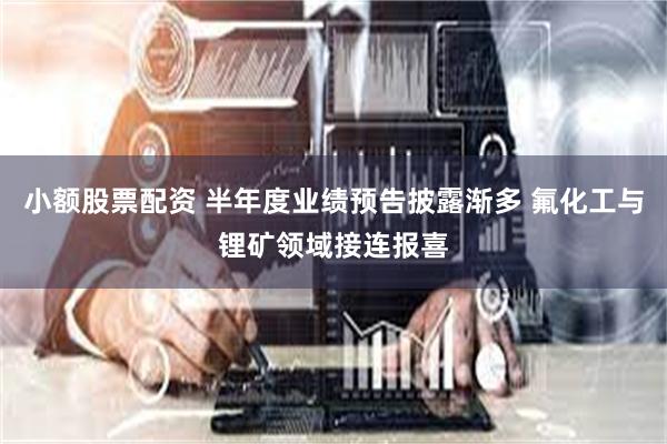 小额股票配资 半年度业绩预告披露渐多 氟化工与锂矿领域接连报喜