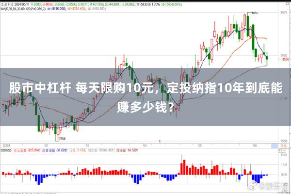 股市中杠杆 每天限购10元,定投纳指10年到底能赚多少钱?