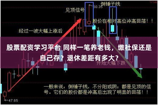 股票配资学习平台 同样一笔养老钱，缴社保还是自己存？退休差距有多大？