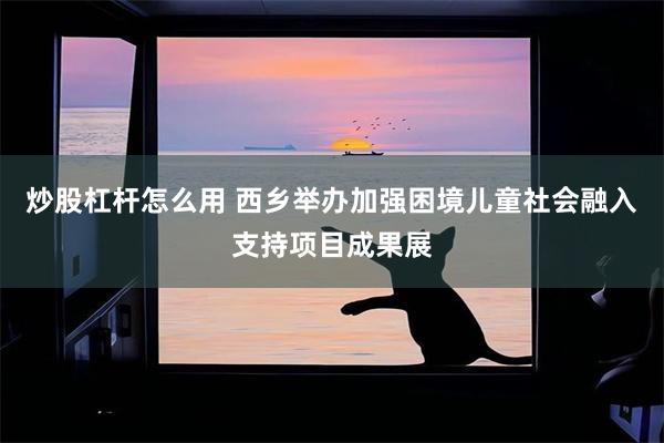 炒股杠杆怎么用 西乡举办加强困境儿童社会融入支持项目成果展