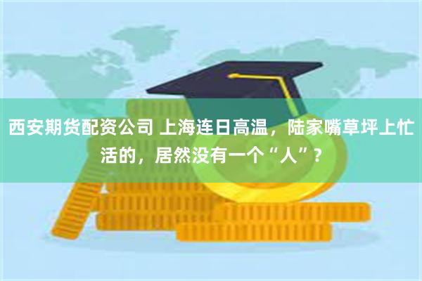 西安期货配资公司 上海连日高温，陆家嘴草坪上忙活的，居然没有一个“人”？