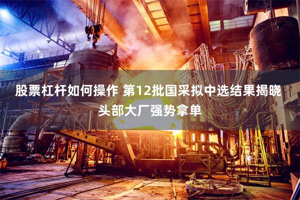 股票杠杆如何操作 第12批国采拟中选结果揭晓 头部大厂强势拿单