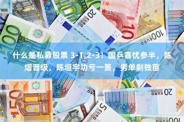 什么是私募股票 3-1,2-3！国乒喜忧参半，陈熠晋级，陈垣宇功亏一篑，男单剩独苗