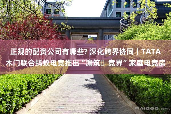 正规的配资公司有哪些? 深化跨界协同｜TATA木门联合蚂蚁电竞推出“澹筑・竞界”家庭电竞房