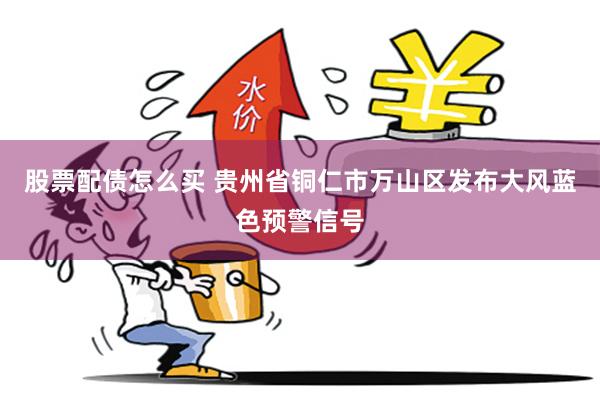 股票配债怎么买 贵州省铜仁市万山区发布大风蓝色预警信号