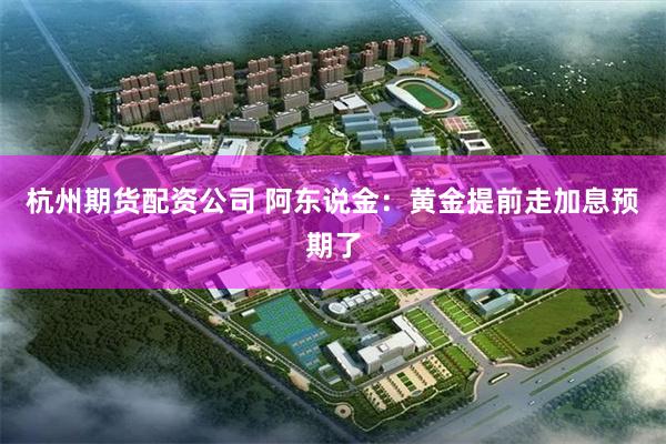 杭州期货配资公司 阿东说金：黄金提前走加息预期了