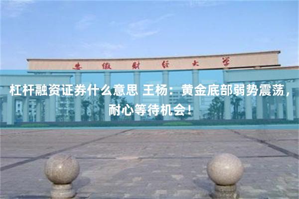 杠杆融资证券什么意思 王杨：黄金底部弱势震荡，耐心等待机会！