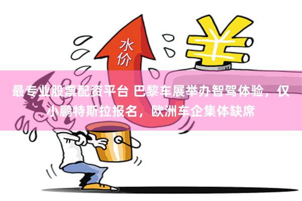 最专业股票配资平台 巴黎车展举办智驾体验，仅小鹏特斯拉报名，欧洲车企集体缺席