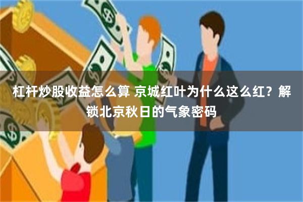 杠杆炒股收益怎么算 京城红叶为什么这么红？解锁北京秋日的气象密码