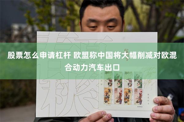 股票怎么申请杠杆 欧盟称中国将大幅削减对欧混合动力汽车出口