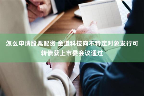 怎么申请股票配资 金道科技向不特定对象发行可转债获上市委会议通过